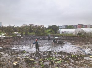 巫山河道鱼塘清淤